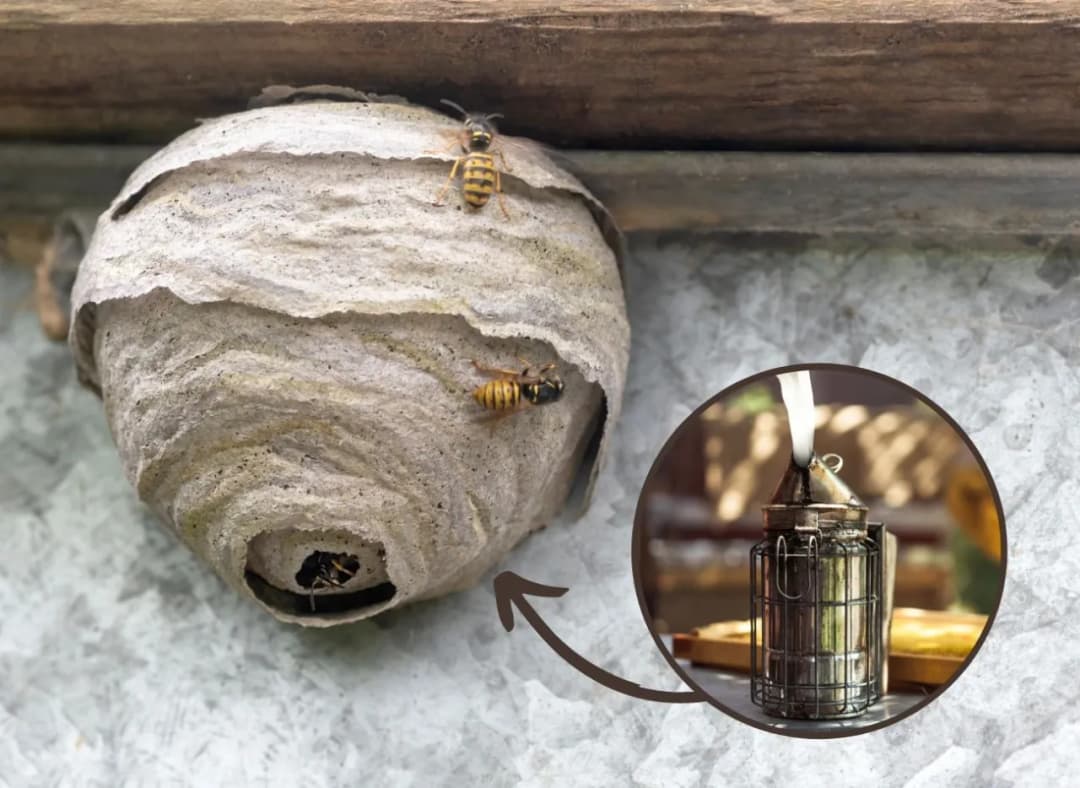 Jak pozbyć się os z dachu - skuteczne metody i ważne wskazówki Jak pozbyć się os z dachu - skuteczne metody i ważne wskazówki